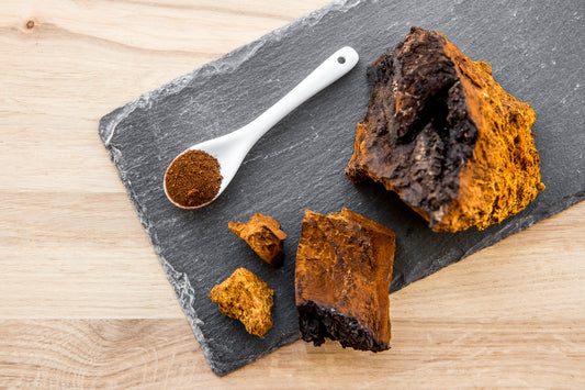 Chaga Mushrooms - Powdered Mushrooms - Functional Mushrooms - Nootropics - Adaptogens - Health benefits - Holistic Wellness - Troomy Nootropics in Whittier, CA