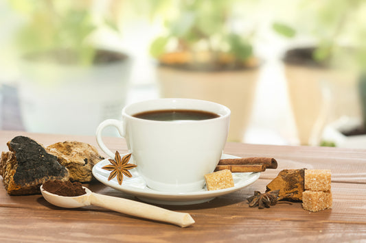 Mushrooms in the Morning - Adaptogenic Mushrooms with Troomy Nootropics in Whittier, CA