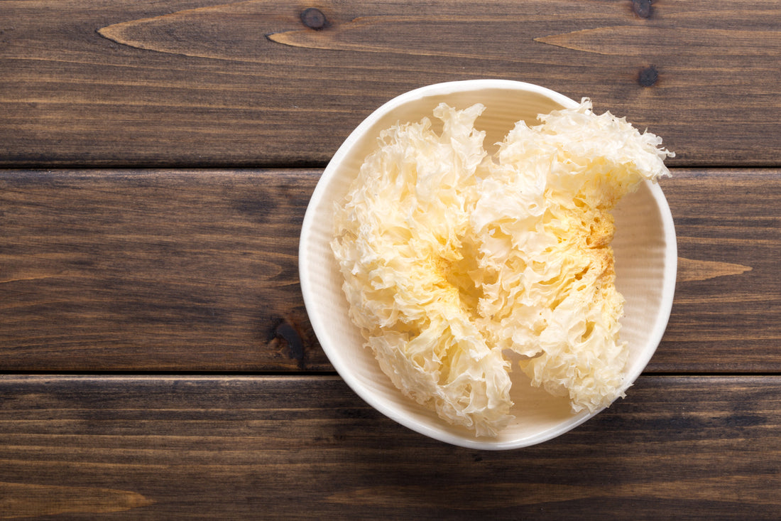 Tremella Mushrooms - Snow Mushroom - Beauty - Shine - Skincare - Glass Skin - Radiance Boost - Troomy Nootropics in Whittier, CA