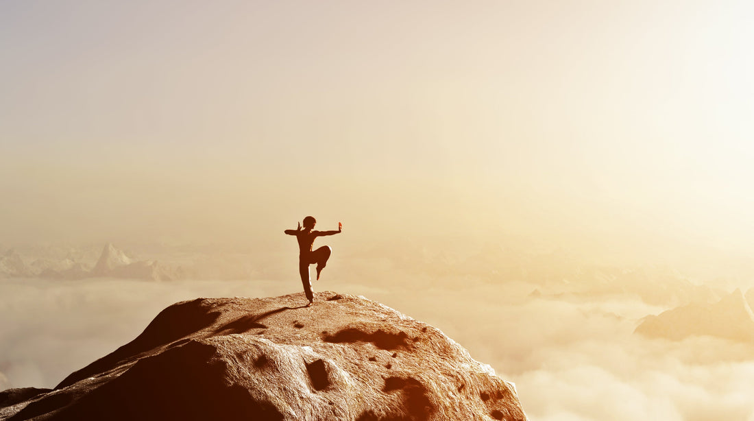 Martial Arts - Boosting Energy - Natural Energy - Cordyceps for Stamina and Focus -  Troomy Nootropics in Whittier, CA