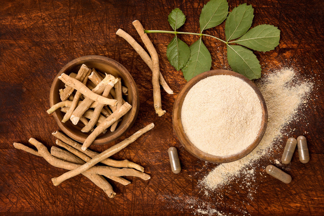 Ashwagandha - Recover and Restore - Mood Balance - Stress Relief - Supplements for Recovery - Post Gym