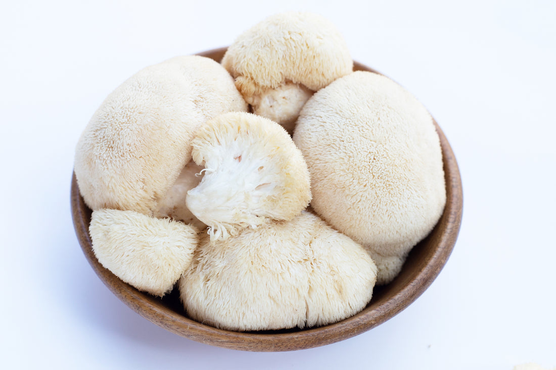 Lion's Mane Mushroom - Adaptogenic Mushroom Blends with Troomy Nootropics