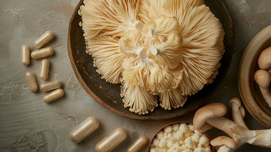 Lion's Mane - Focus - Lion’s Mane Gummies - Tangerine Passionfruit - Mental Clarity - Troomy Nootropics in Whittier, CA