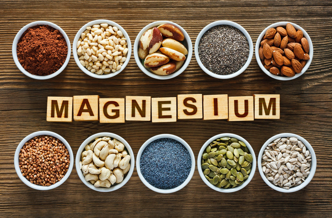 Magnesium Rich Foods - Magnesium Supplement - Functional Mushrooms - Troomy Nootropics in Whittier, CA