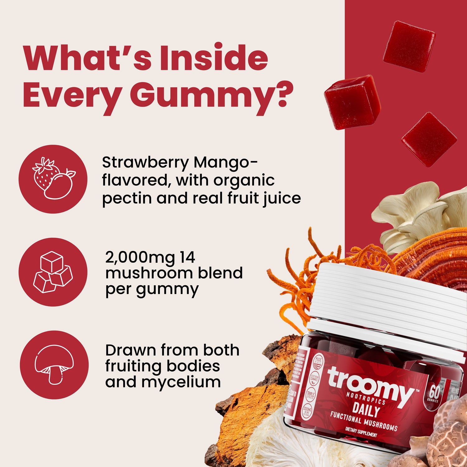 Daily: 14 Mushroom Blend Gummies