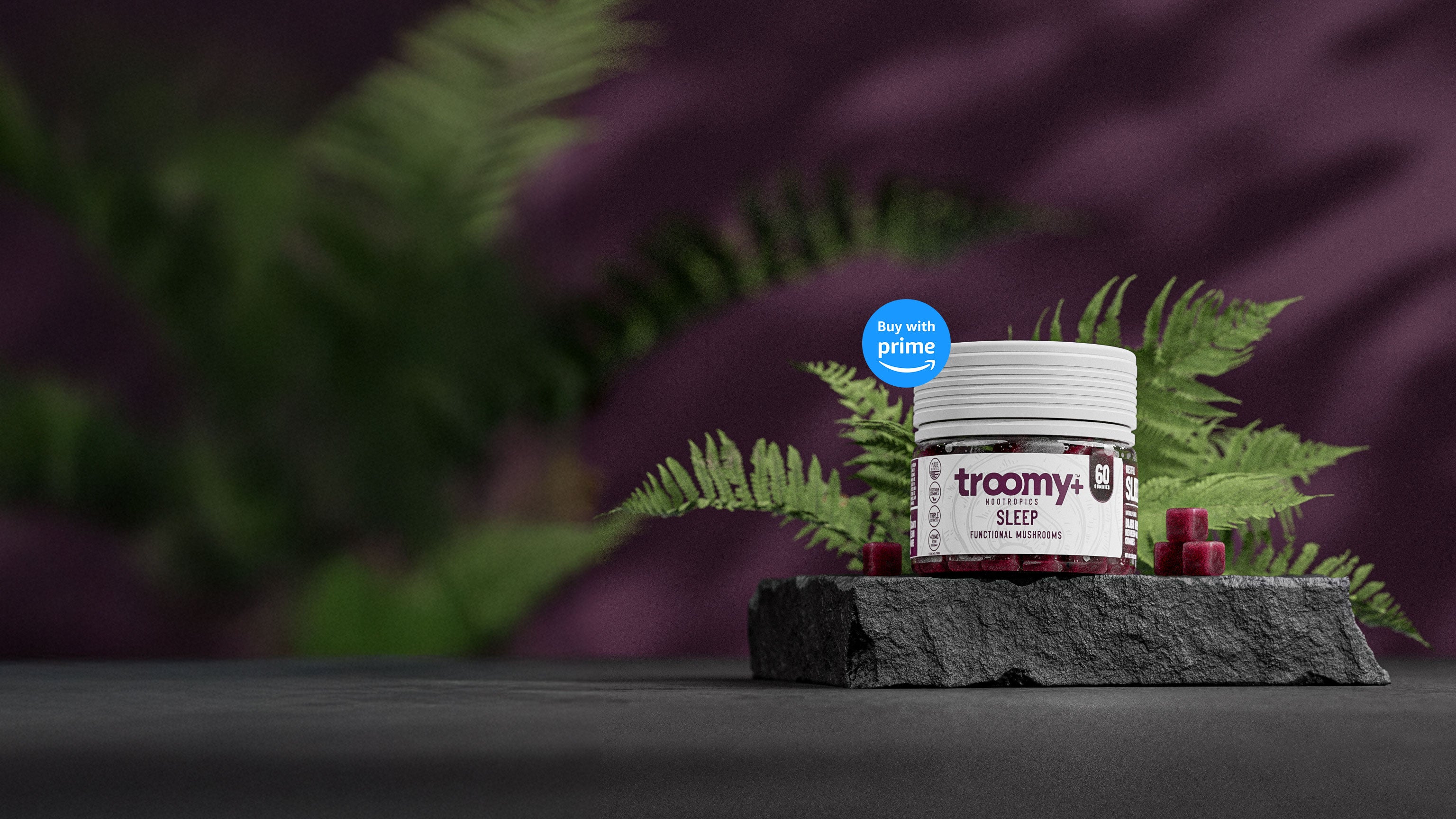 Sleep Support - Amazon Prime - Buy With Prime - Troomy Nootropics in Whittier, CA - Functional Mushroom