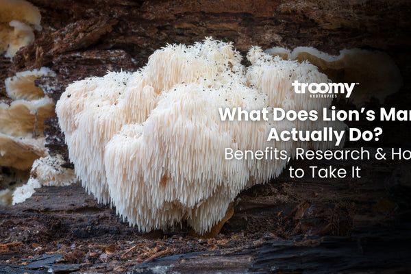 lion's mane benefits