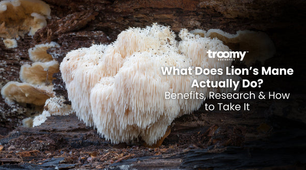 lion's mane benefits