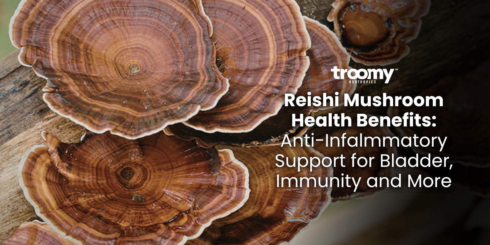 reishi mushroom health benefits