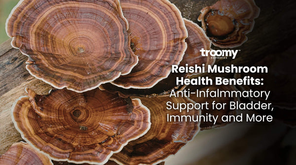 reishi mushroom health benefits