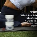 what are adaptogenic mushrooms
