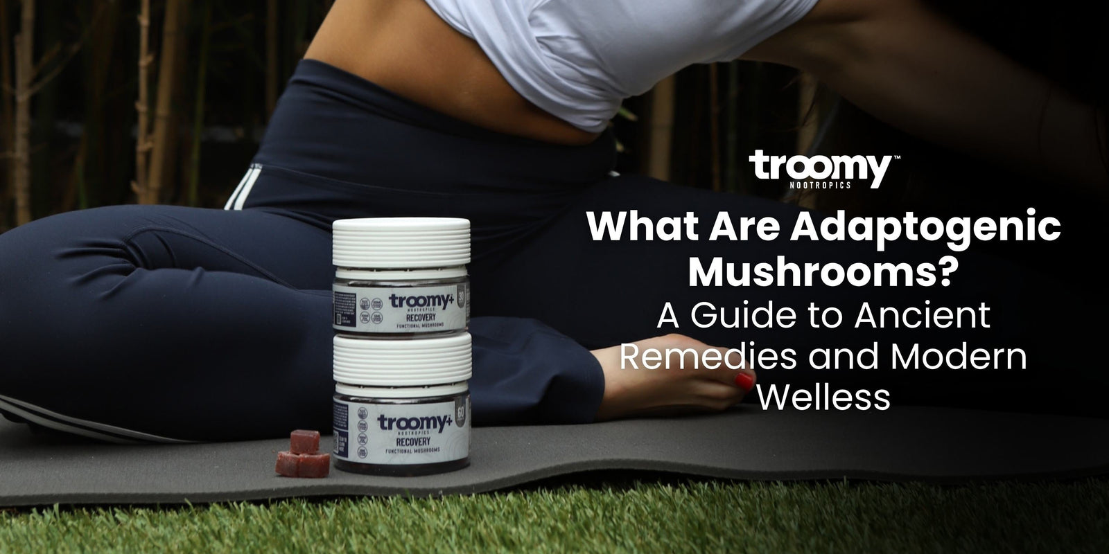 what are adaptogenic mushrooms