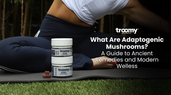 what are adaptogenic mushrooms