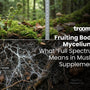 fruiting body vs mycelium