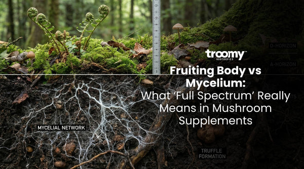 fruiting body vs mycelium