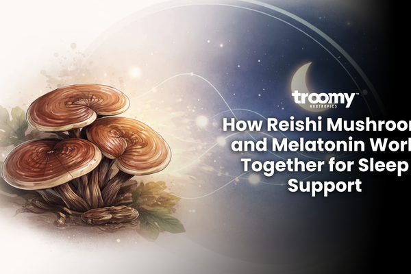 Illustration showing reishi mushroom and circadian rhythm signaling associated with sleep regulation