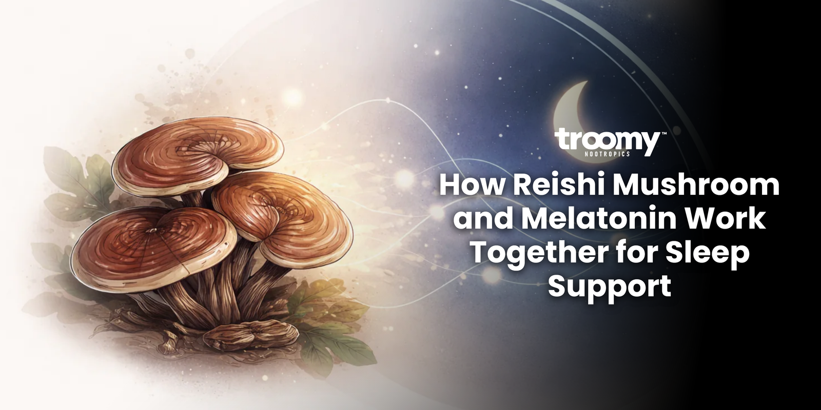 Illustration showing reishi mushroom and circadian rhythm signaling associated with sleep regulation