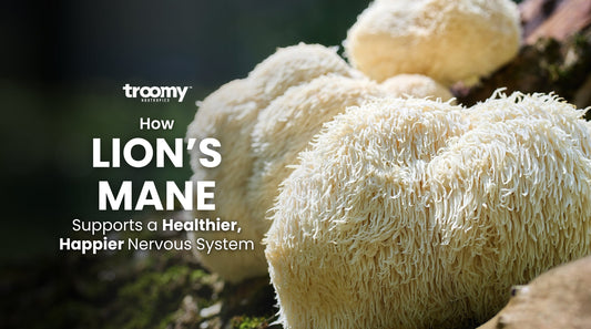 How Lion's Mane Supports a Healthier, Happier Nervous System