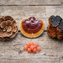 Mushroom Gummies for Immunity The Best Functional Mushrooms for Immune Support