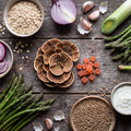 Turkey Tail and Gut Health The Prebiotic Mushroom Explained