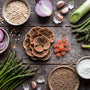 Turkey Tail and Gut Health The Prebiotic Mushroom Explained