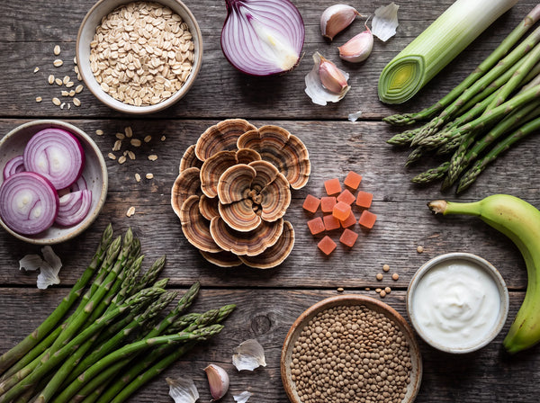 Turkey Tail and Gut Health The Prebiotic Mushroom Explained