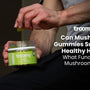 mushroom gummies