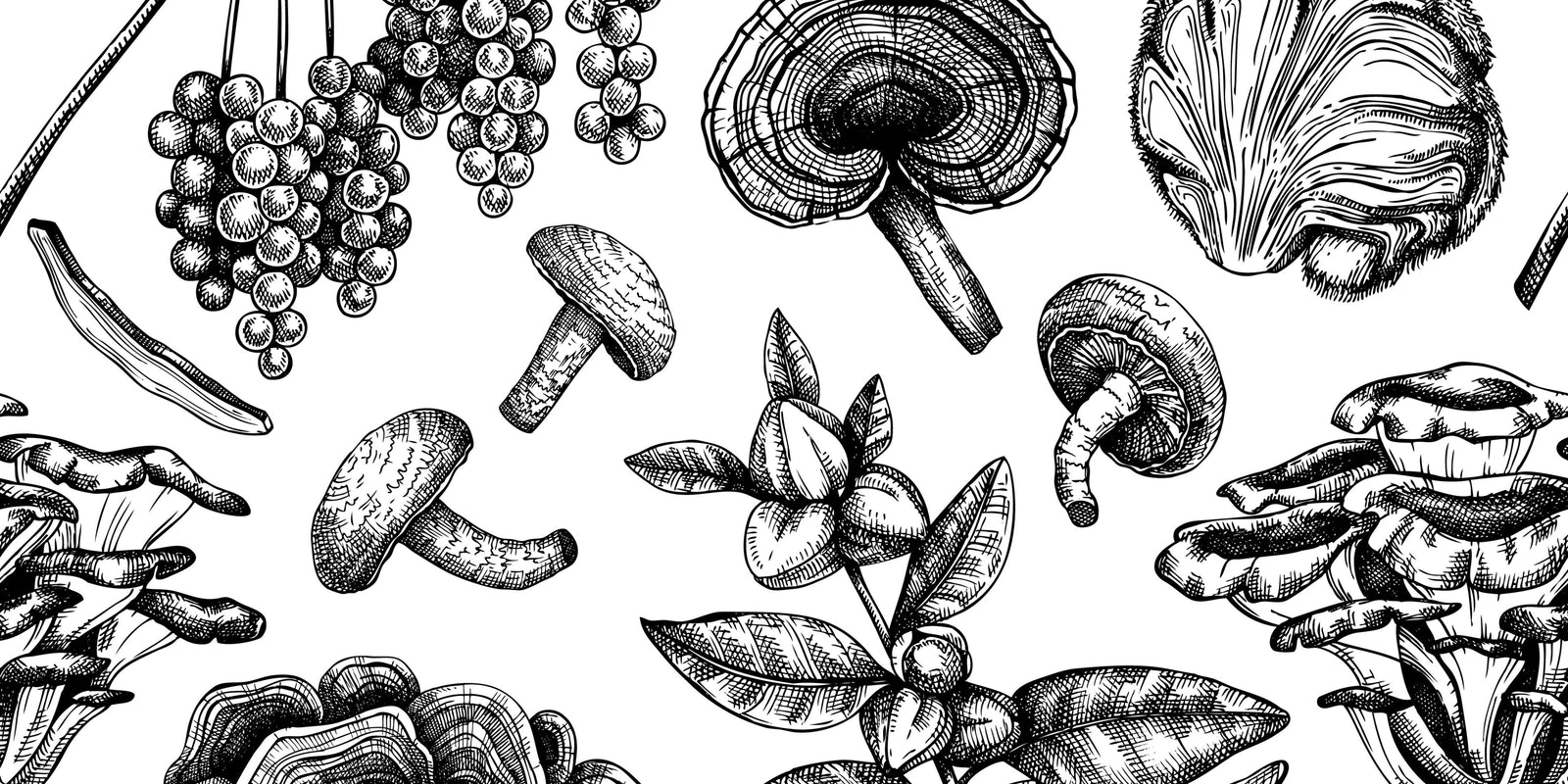 Functional Mushrooms  - Health benefits - Holistic Wellness -  Energy - Sleep - Mood Balance - Brain Health - Lion’s Mane - Reishi - Cordyceps - Troomy Nootropics in Whittier, CA