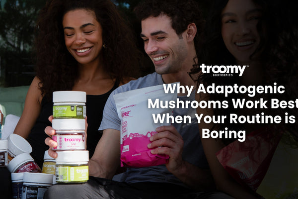 Adaptogenic mushrooms