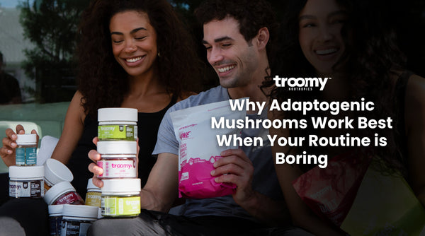 Adaptogenic mushrooms