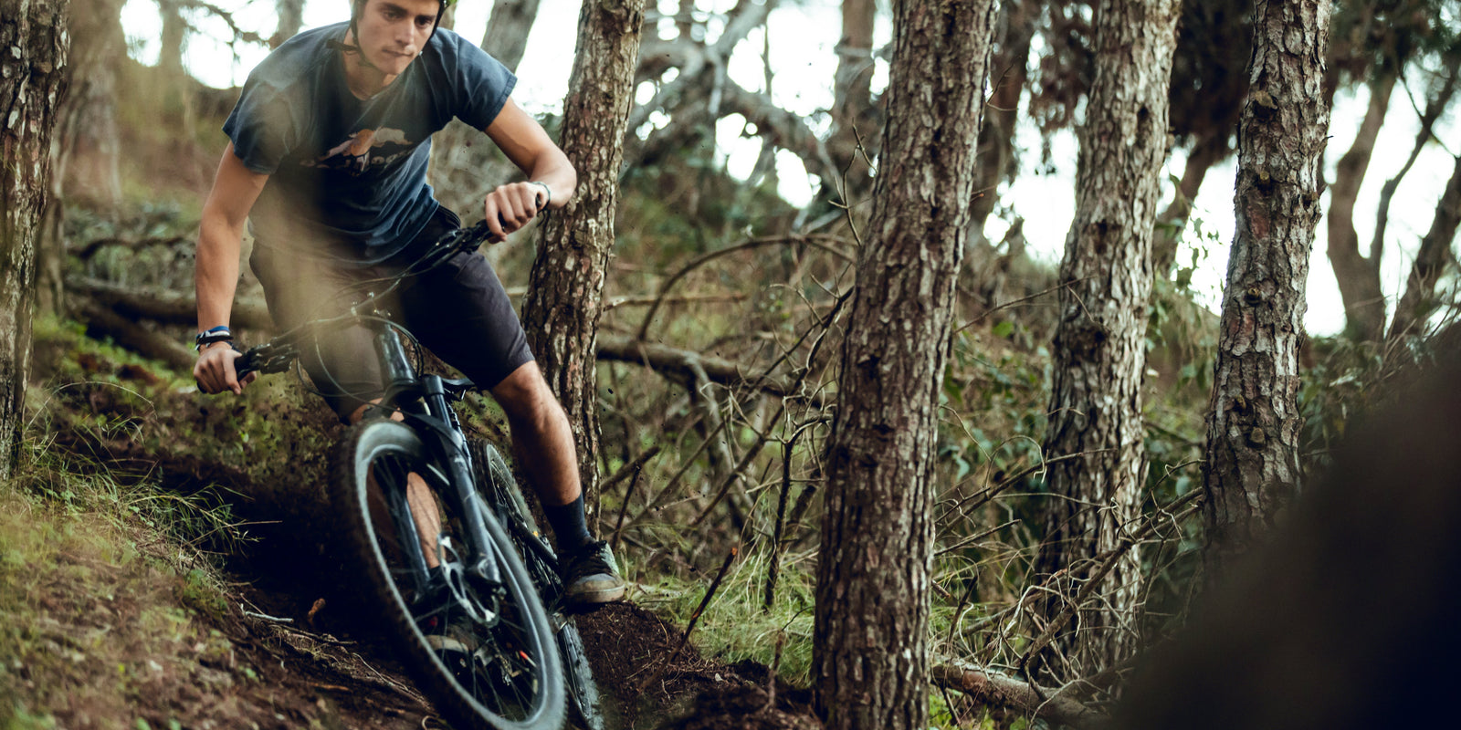 Mountain Biking - Bike Ride - Seeking Adventure - Mushroom Gummies - Energy - Strength - Stamina - Endurance - Troomy Nootropics in Whittier, CA