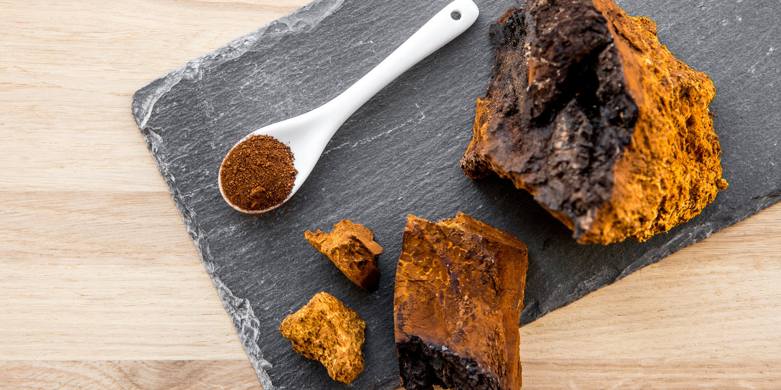 Chaga Mushrooms - Powdered Mushrooms - Functional Mushrooms  - Nootropics - Adaptogens - Health benefits - Holistic Wellness  - Troomy Nootropics in Whittier, CA