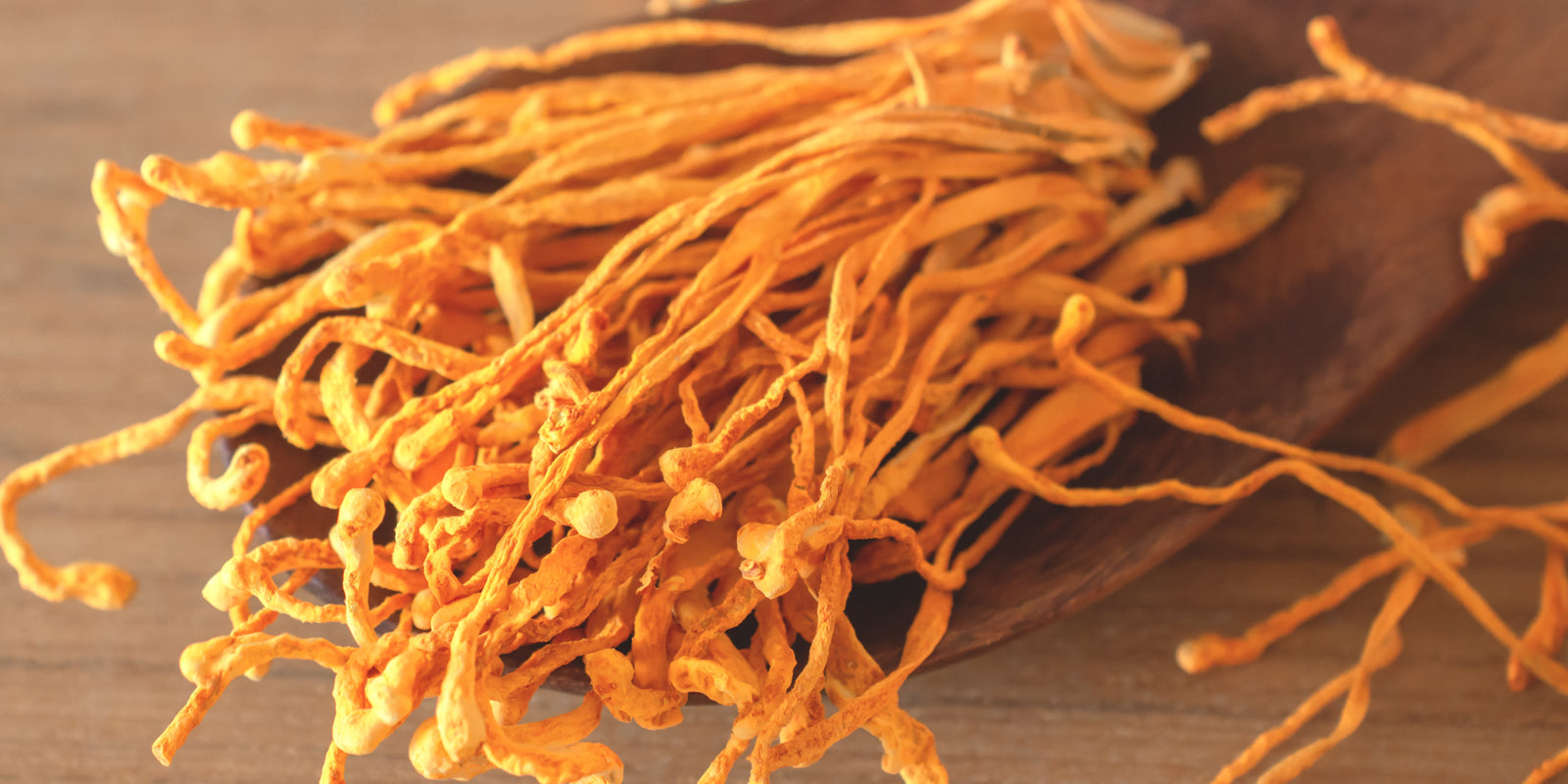 Are Cordyceps Psychedelic? Cordyceps Mushroom - Energy Support - Workout Focus - Natural Energy - Pre Workout -Lemon Lime - Troomy Nootropics in Whittier, CA