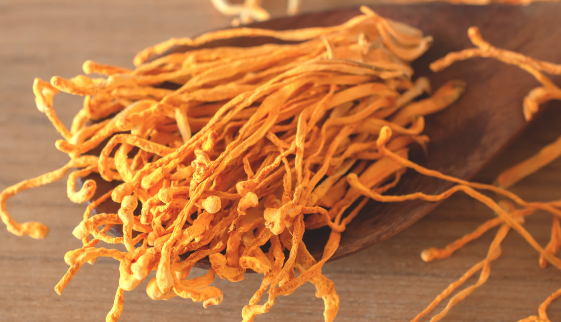 Are Cordyceps Psychedelic? Cordyceps Mushroom - Energy Support - Workout Focus - Natural Energy - Pre Workout -Lemon Lime - Troomy Nootropics in Whittier, CA