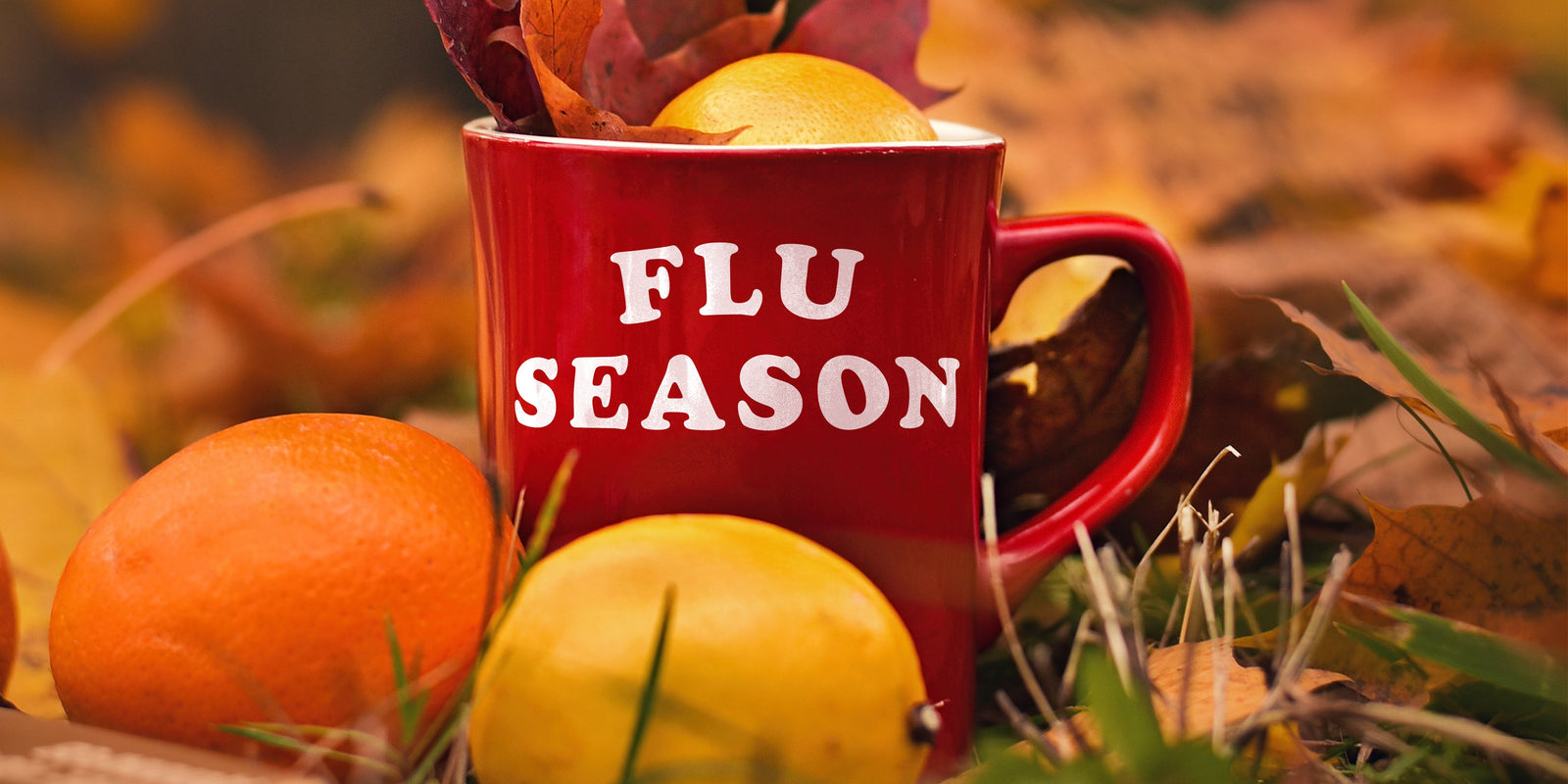 Flu Season - Immune Health - Immune Health - How to Stop Getting Sick - Functional Mushroom Gummies for Troomy Nootropics in Whittier, CA