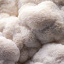 Lion’s Mane Mushroom - Brain Cognition - Mental Clarity - Focus Support - Brain Support - Troomy Nootropics in Whittier, CA
