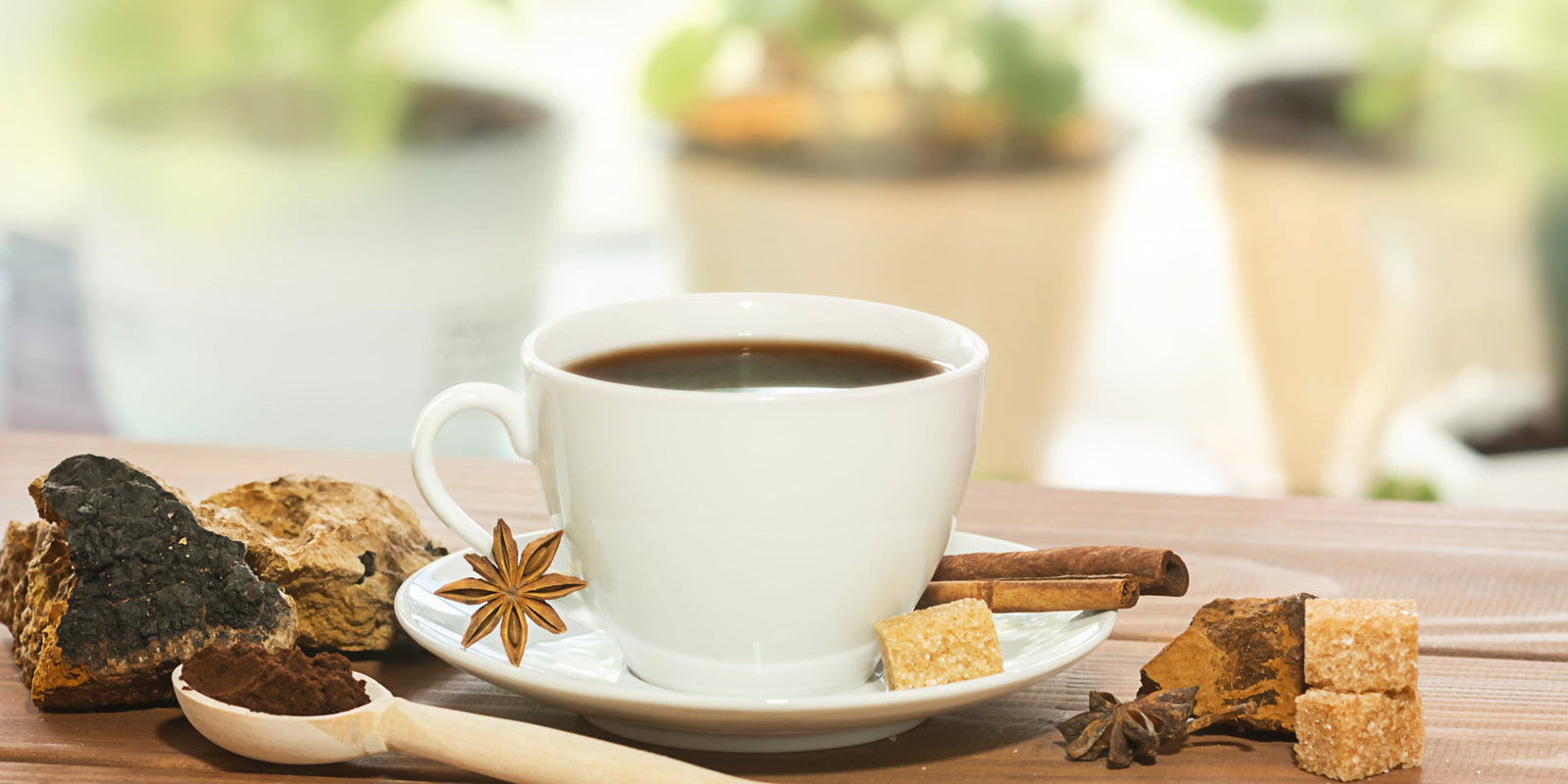 Mushrooms in the Morning - Coffee - Morning Routine - Adaptogens - Nootropics - Troomy Nootropics in Whittier, CA