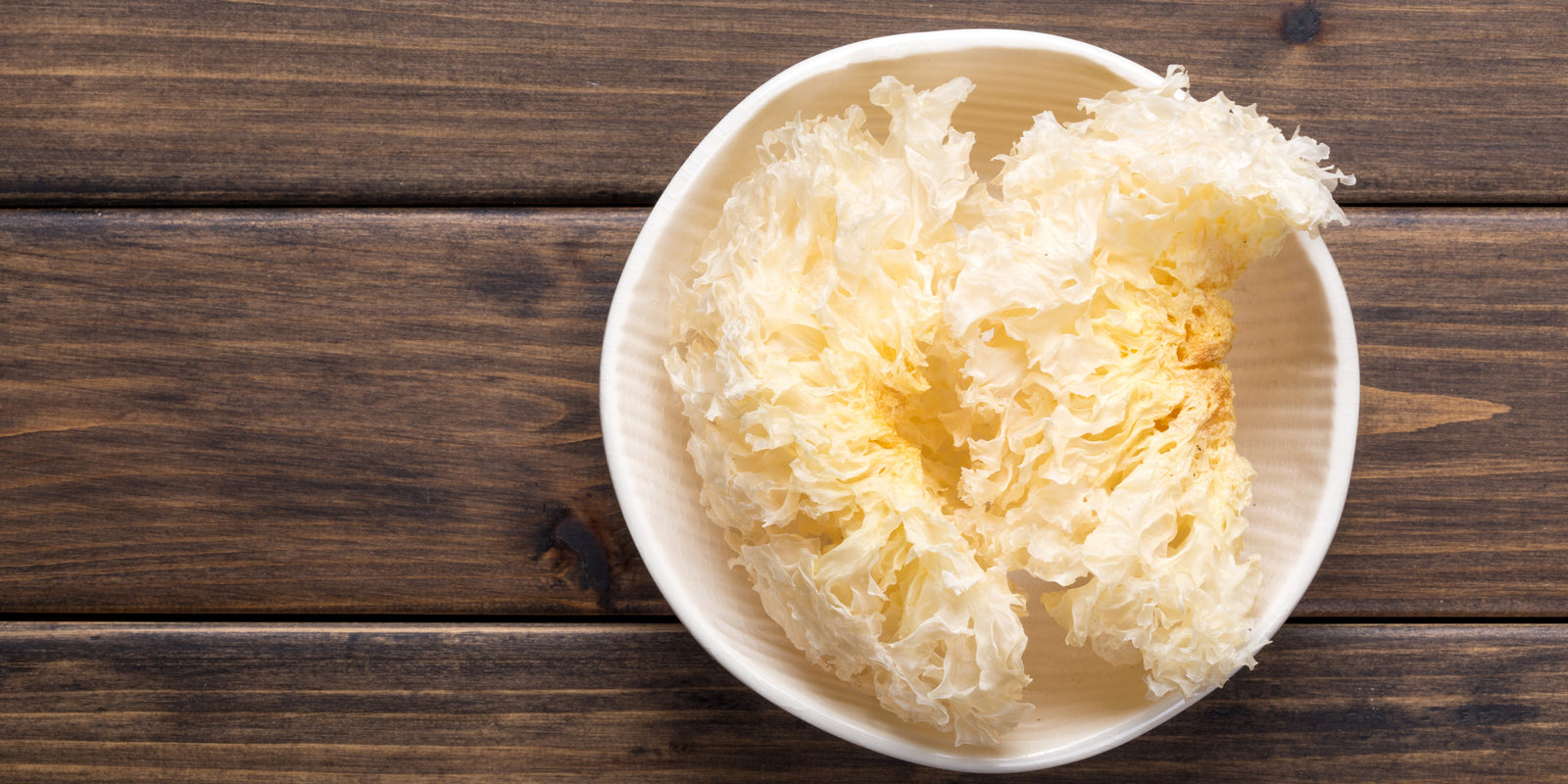 Tremella Mushrooms - Snow Mushroom - Beauty - Shine - Skincare - Glass Skin - Radiance Boost - Troomy Nootropics in Whittier, CA