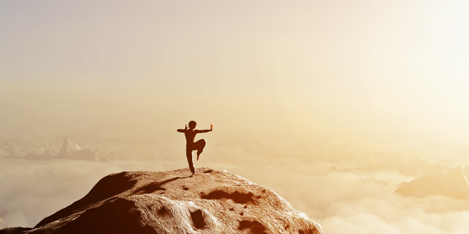 Martial Arts - Boosting Energy - Natural Energy - Cordyceps for Stamina and Focus -  Troomy Nootropics in Whittier, CA