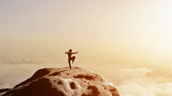 Martial Arts - Boosting Energy - Natural Energy - Cordyceps for Stamina and Focus -  Troomy Nootropics in Whittier, CA