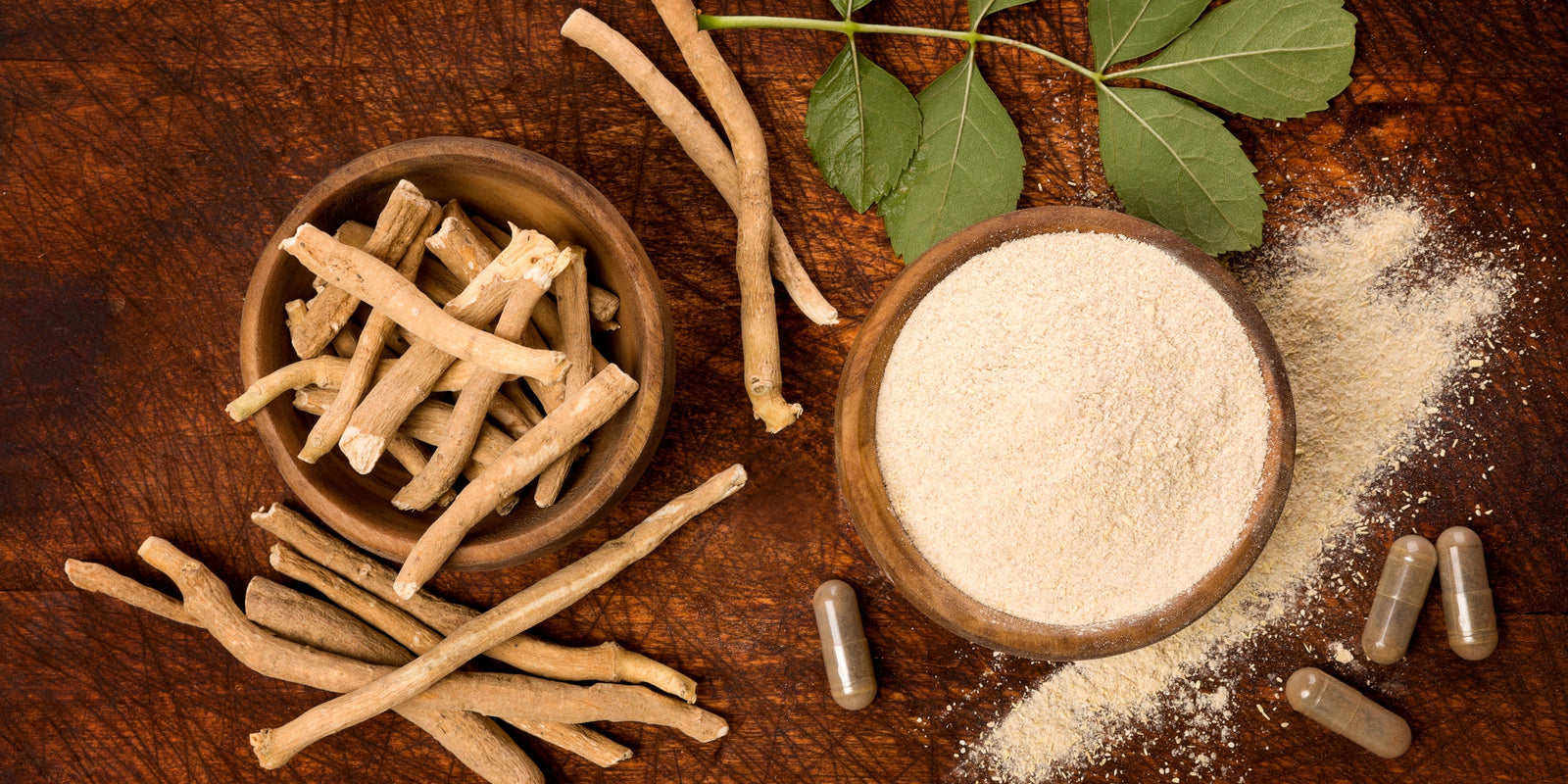 Ashwagandha - Recover and Restore - Mood Balance - Stress Relief - Supplements for Recovery - Post Gym 