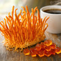 Best Adaptogenic Mushrooms