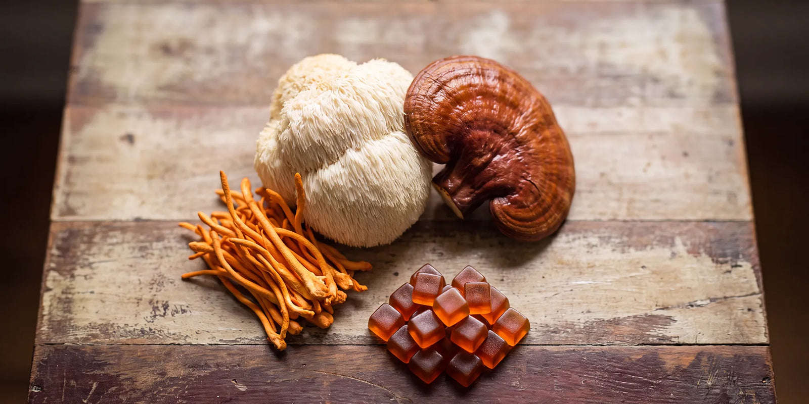 Best Mushroom Gummies for Beginners