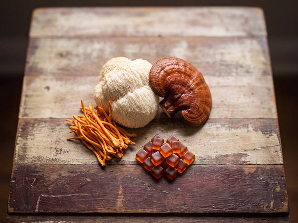 Best Mushroom Gummies for Beginners