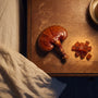 Best Mushroom Gummies for Sleep