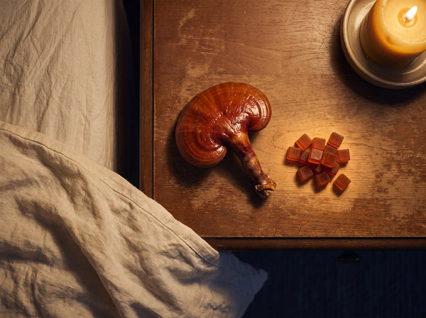Best Mushroom Gummies for Sleep