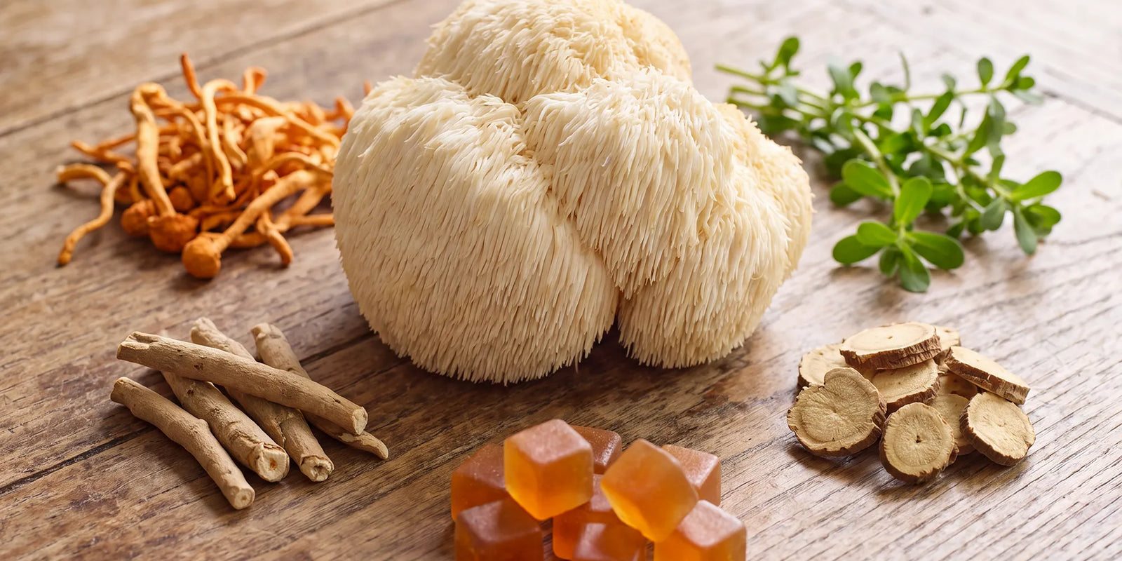 Best Natural Nootropics