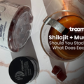 shilajit gummies