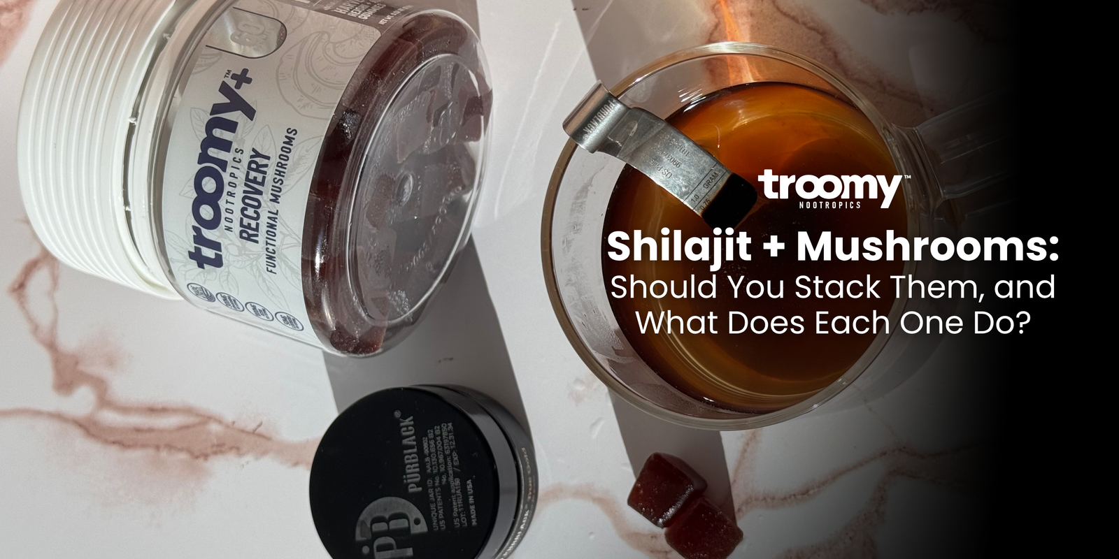 shilajit gummies