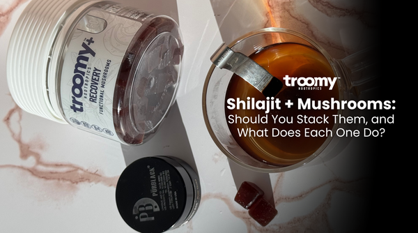 shilajit gummies